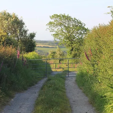The Stable At Casaclarig - West Cork With Sauna * 빌 안 다 차브